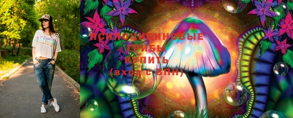 прущий лед Арсеньев