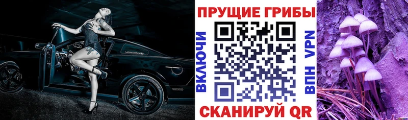 Псилоцибиновые грибы ЛСД  Кувшиново 